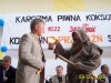 vi-karczma-piwna-064