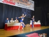 DSC_0145_1024x681