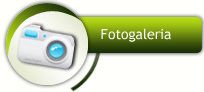 fotogaleria